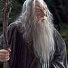 Gandalf at His Council With Saruman